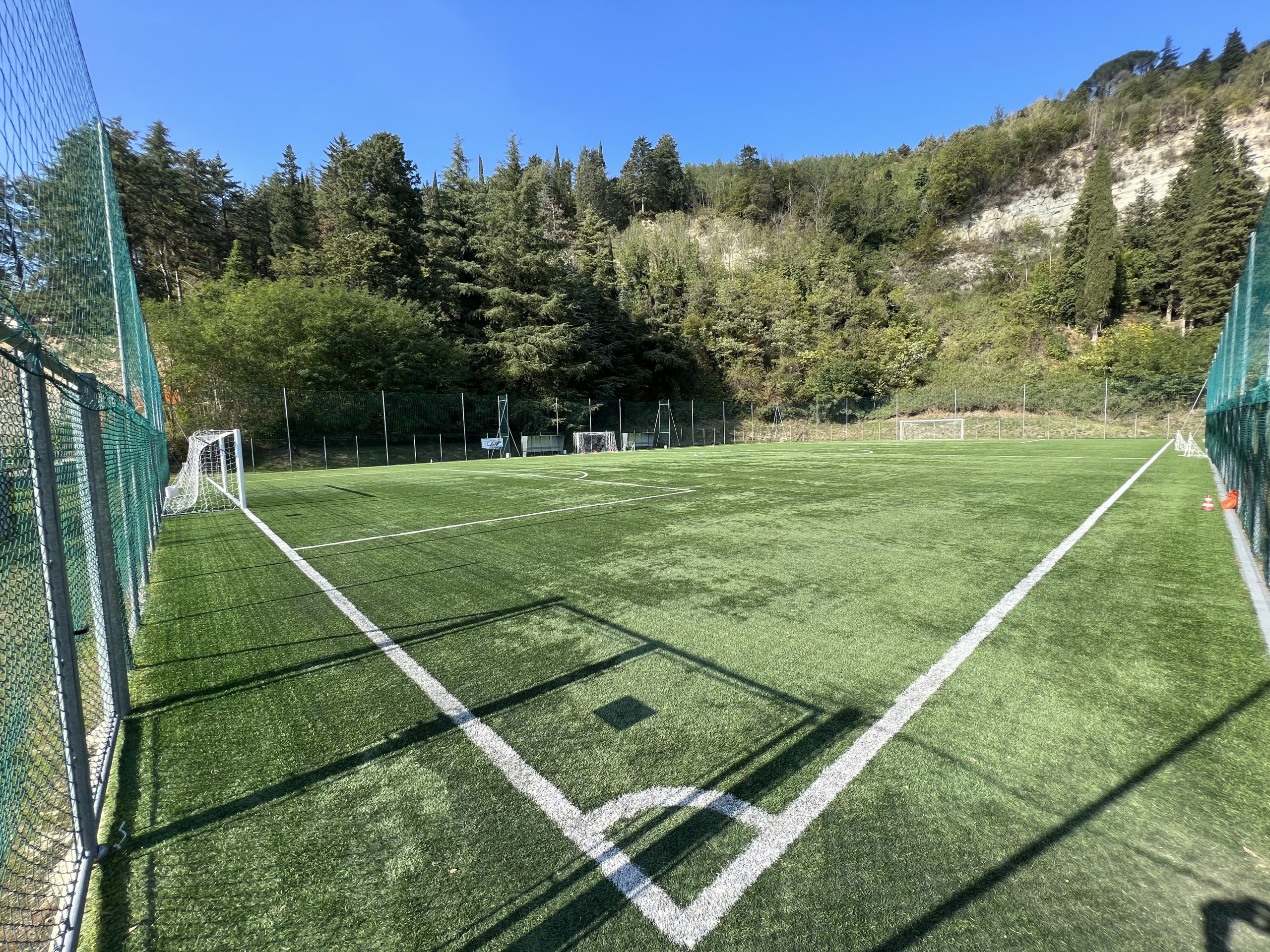 Tribuna